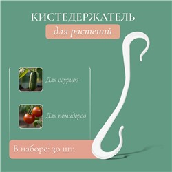 Кистедержатель «Крючок», 12 см, набор 30 шт., Greengo