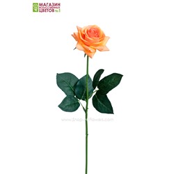 Роза малая - оранжевый