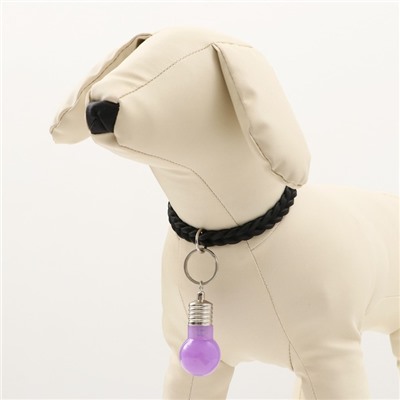 Маячок световой на ошейник для больших и средних собак, фиолетовый