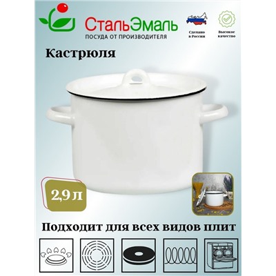 Кастрюля 2,9л цил белосн. 2с16/1