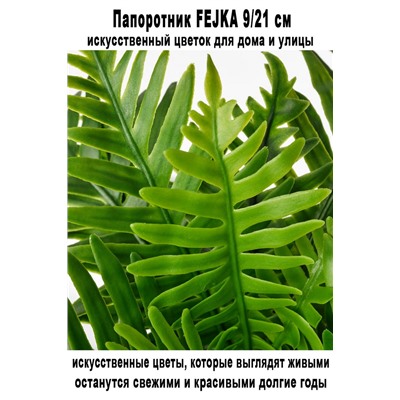 Папоротник FEJKA 9-21 см