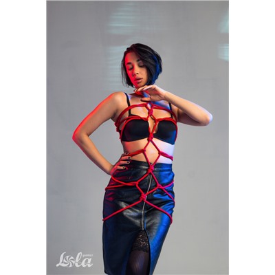 Веревка Party Hard Tender Red 10м 1158-02lola