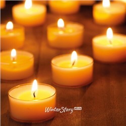 Ароматические свечи Сладкая ваниль, 4*2 см, 18 шт (Kaemingk)
