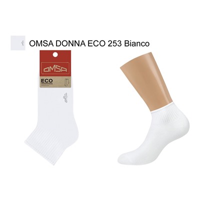 OMSA ECO 253