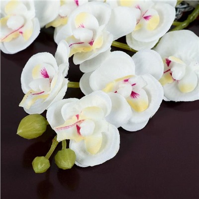 Цветы искусственные "Орхидея королевская" 3,5х28 см, белый