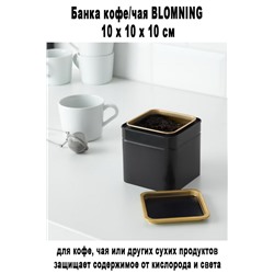 Банка кофе/чая BLOMNING 10x10x10 см