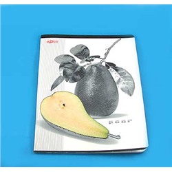 Тетр. 48л кл. СЗЛК-MF "Metall Fruit" (Фольга) уп100 арт.0216-294