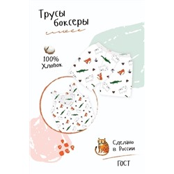 Трусы Боксеры Лимпопо (белый)