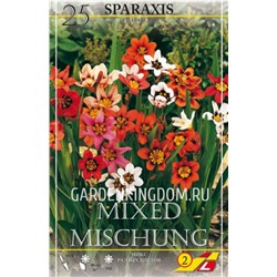 Спараксис триколор (Sparaxis tricolor), 25 шт