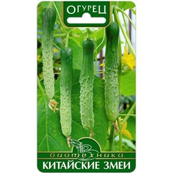 Огурец Китайские Змеи, 10 шт семян