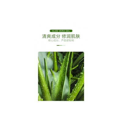 ZHIDUO Увлажняющий, освежающий, универсальный, несмываемый гель Fresh Aloe Vera Gel 120 мл