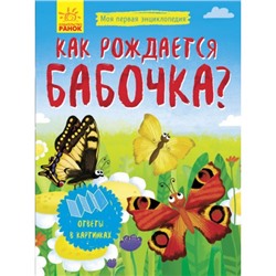 Моя первая энциклопедия - Как рождается бабочка?