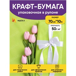 Бумага белая крафт 50г/м2, 70см x 10м, Тонировка, салатовый