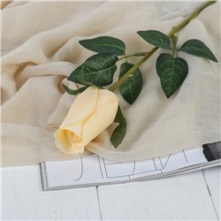 Цветы искусственные "Роза Карина" 4х46 см, кремовый