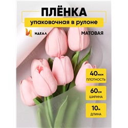 Пленка матовая  60см x 10м