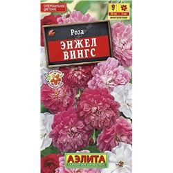 Роза китайская Энжел Вингс, 10 шт семян