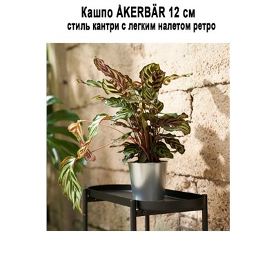 Кашпо AKERBAR 12 см - 904