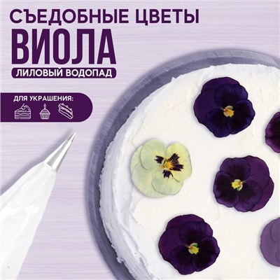 Цветы съедобные KONFINETTA «Виола лиловый водопад», 5 шт.