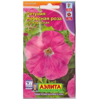 Петуния Небесная Роза (Код: 6699)