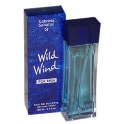 GABRIELA SABATINI WILD WIND edt (m) 100ml