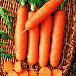 Морковь Лонге роте (без сердцевины)