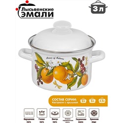 Кастрюля 3,0л 16124 АП2 "Фруктовая фантазия"