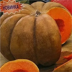 Тыква мускатная Большой шлем, 1 г