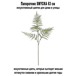 Папоротник SMYCKA 63 см