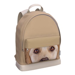 Рюкзак ErichKrause StreetLine "Beige Dog" (60905) 31*41*13см, 1 отделение, 1 карман, отд. для ноутбука, мягкая спинка