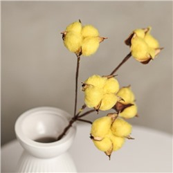 Декор сухоцвет "Хлопок" d-5 см, 30 см, желтый набор 5 шт