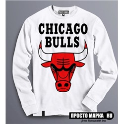 Толстовка Chicago Bulls