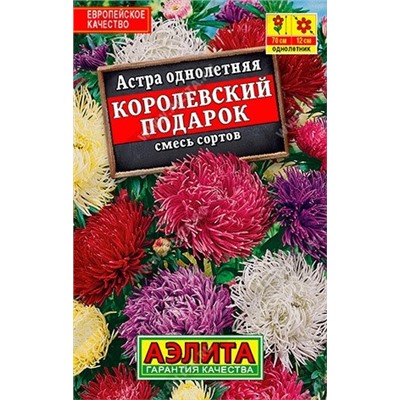 Астра Королевский Подарок (смесь) лидер (Код: 90344)