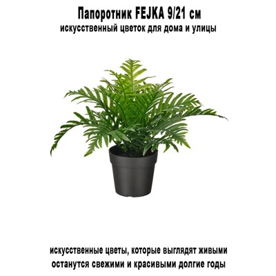 Папоротник FEJKA 9-21 см