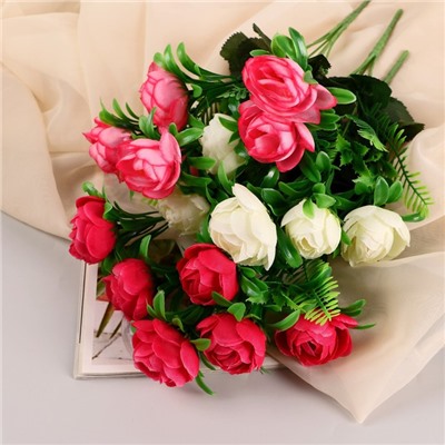 Букет "Роза Клер Остин" 6 цветков, d-4 см h30 см, микс