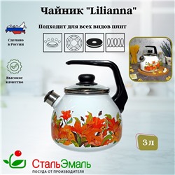 Чайник для плиты 3,0л сф. со св."Lilianna", белосн., 1RC12