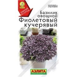 Базилик Фиолетовый Кучерявый (Код: 91902)