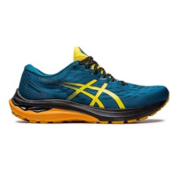 Кроссовки беговые мужские Asics Gt-2000 11 TR 1011B574 750, размер 9 US