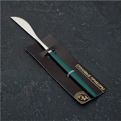 Нож столовый из нержавеющей стали Magistro «Блинк», длина 22 см, на подвесе, цвет серебряный, зелёная ручка