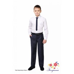 Школьные брюки для мальчика утепленные 197-12