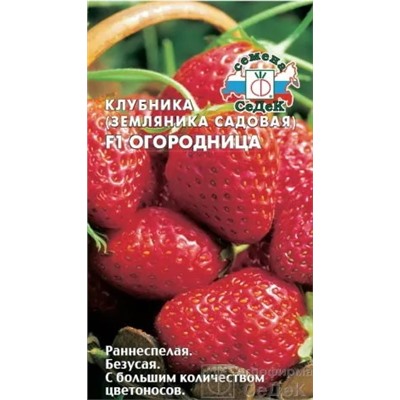 Земляника Огородница F1 крупноплодная ремонтантная