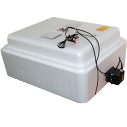 Инкубатор автоматический "Несушка" на  77 яиц, 220В/12В, аналог.терморегулятор (76)