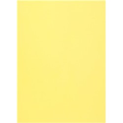 Фоамиран 60х70см 0,8мм 1лист. желтый 005-112