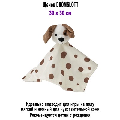 Щенок DROMSLOTT