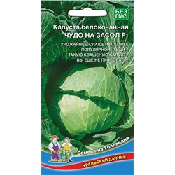 Семена Капуста белокочанная Чудо на засол F1 (УД)