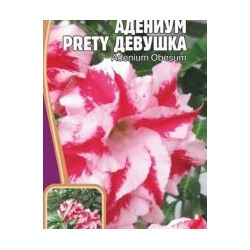 Адениум Прелетная девушка 3шт (Редкие овощи) Адениум обесум относится к долгожителям. У нас выращивается как комнатное. Фантастический по красоте цветок.