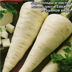 Петрушка корневая Вершки и корешки