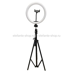 Светодиодная кольцевая лампа Ring Fill Light + ШТАТИВ, 2 В 1, 28779