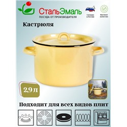 Кастрюля 2,9л цил. 2с16/1 без рис. крем.