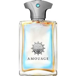 AMOUAGE PORTRAYAL edp (m) 100ml