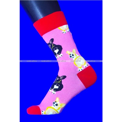 Nice Socks (AMIGOBS) ЦВЕТНЫЕ ВЫСОКИЕ НОСКИ на вешалке арт. 2208